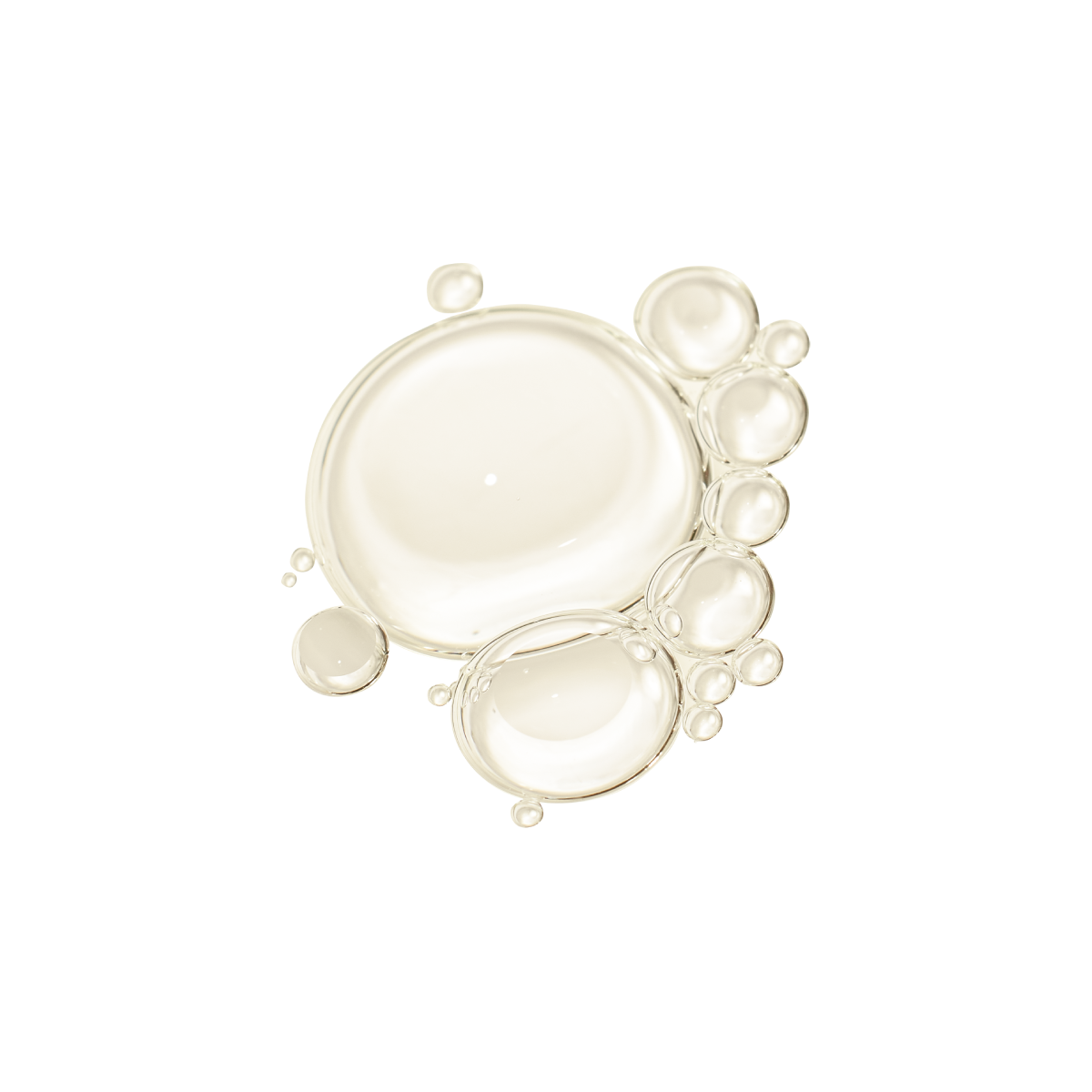 Les essentiels nourrissants